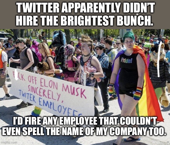 Spelling on a sign you’ll use to protest … sigh. Proof that the IQ level is pretty low. | TWITTER APPARENTLY DIDN’T HIRE THE BRIGHTEST BUNCH. I’D FIRE ANY EMPLOYEE THAT COULDN’T EVEN SPELL THE NAME OF MY COMPANY TOO. | image tagged in twitter ex-employees,stupid liberals,elon musk buying twitter | made w/ Imgflip meme maker