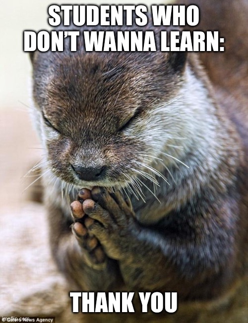 Thank you Lord Otter | STUDENTS WHO DON’T WANNA LEARN: THANK YOU | image tagged in thank you lord otter | made w/ Imgflip meme maker