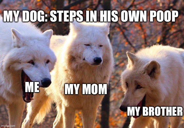 I laugh so hard when this happens??? | MY DOG: STEPS IN HIS OWN POOP; MY MOM; ME; MY BROTHER | image tagged in 2/3 wolves laugh,doggo,hilarious,gross | made w/ Imgflip meme maker