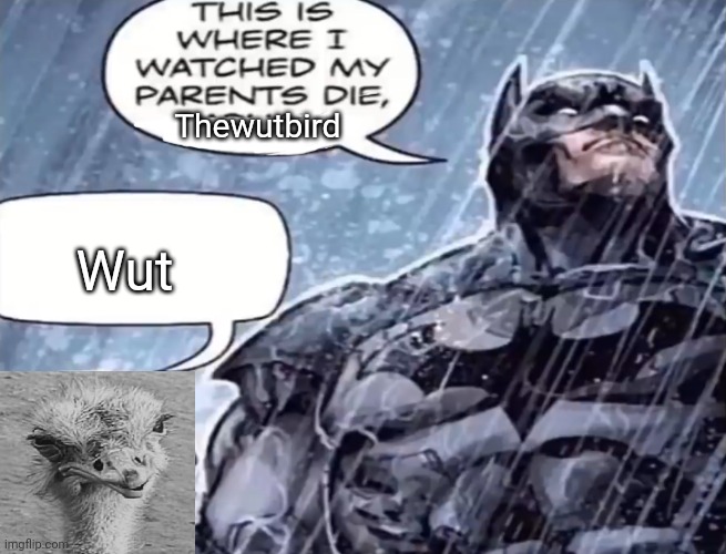 Bored | Thewutbird; Wut | image tagged in this is where i watch my parents die raphael,bored | made w/ Imgflip meme maker