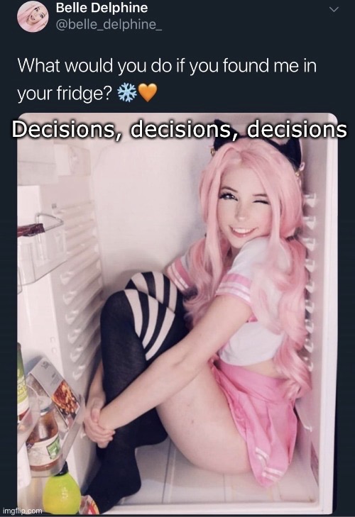 Belle Delphine in a fridge | Decisions, decisions, decisions | image tagged in belle delphine in a fridge | made w/ Imgflip meme maker