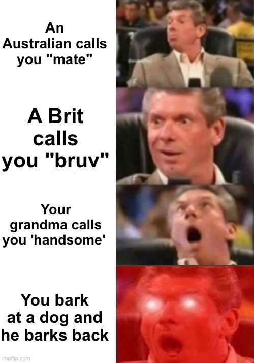 Best thing in the world! | An Australian calls you "mate"; A Brit calls you "bruv"; Your grandma calls you 'handsome'; You bark at a dog and he barks back | image tagged in mr mcmahon reaction,memes,unfunny | made w/ Imgflip meme maker