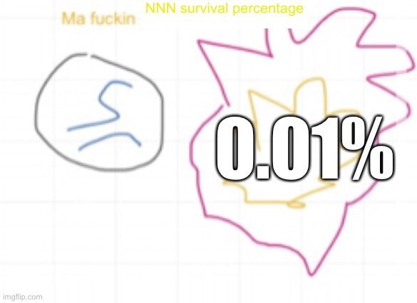 NOT THE PANCAKES | NNN survival percentage; 0.01% | image tagged in not the pancakes | made w/ Imgflip meme maker