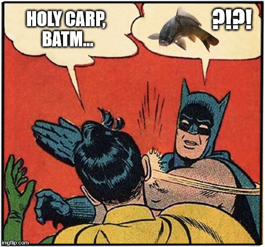 holy carp | ?!?! HOLY CARP, 
BATM... | image tagged in batman slapping robin | made w/ Imgflip meme maker