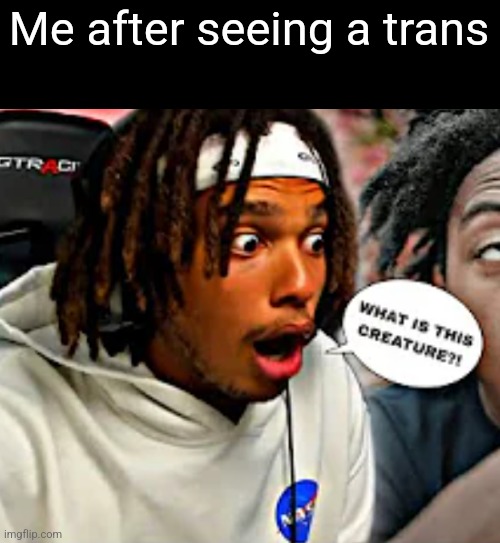 Me after seeing a trans | image tagged in what is this creature | made w/ Imgflip meme maker
