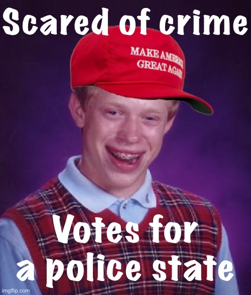 I’d rather be mugged than be mugged, beaten by cops, and my vote tossed in the trash can | Scared of crime; Votes for a police state | image tagged in maga bad luck brian | made w/ Imgflip meme maker