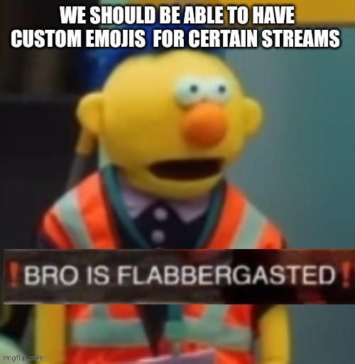 Flabbergasted Yellow Guy | WE SHOULD BE ABLE TO HAVE CUSTOM EMOJIS  FOR CERTAIN STREAMS | image tagged in flabbergasted yellow guy | made w/ Imgflip meme maker