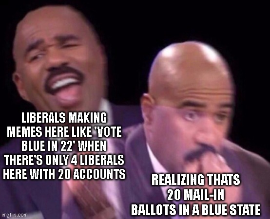 Steve Harvey Laughing Serious | LIBERALS MAKING MEMES HERE LIKE 'VOTE BLUE IN 22' WHEN THERE'S ONLY 4 LIBERALS HERE WITH 20 ACCOUNTS; REALIZING THATS 20 MAIL-IN BALLOTS IN A BLUE STATE | image tagged in steve harvey laughing serious | made w/ Imgflip meme maker