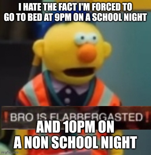 Flabbergasted Yellow Guy | I HATE THE FACT I'M FORCED TO GO TO BED AT 9PM ON A SCHOOL NIGHT; AND 10PM ON A NON SCHOOL NIGHT | image tagged in flabbergasted yellow guy | made w/ Imgflip meme maker