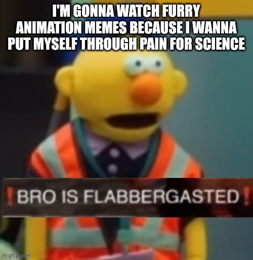 Flabbergasted Yellow Guy | I'M GONNA WATCH FURRY ANIMATION MEMES BECAUSE I WANNA PUT MYSELF THROUGH PAIN FOR SCIENCE | image tagged in flabbergasted yellow guy | made w/ Imgflip meme maker
