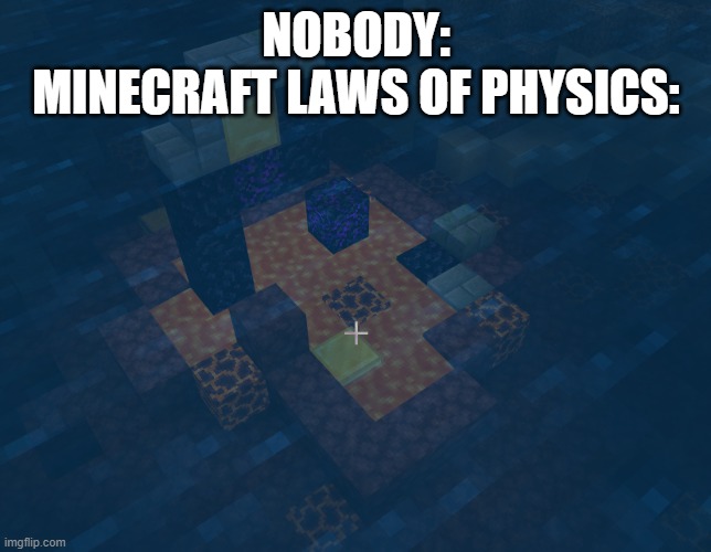 I know thermodynamics would work better for this but I didn't put it so suck it up | NOBODY:
MINECRAFT LAWS OF PHYSICS: | image tagged in minecraft,dumb meme,why did i make this,im bored,your mom | made w/ Imgflip meme maker