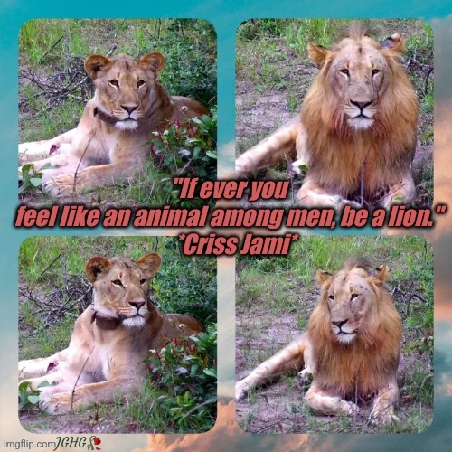 Be a Lion | JGHG🥀 | image tagged in strength | made w/ Imgflip meme maker