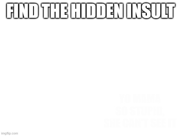 Let's play a little game. | FIND THE HIDDEN INSULT; YO MAMA SO STUPID, SHE CAN'T SEE IT | image tagged in memes | made w/ Imgflip meme maker