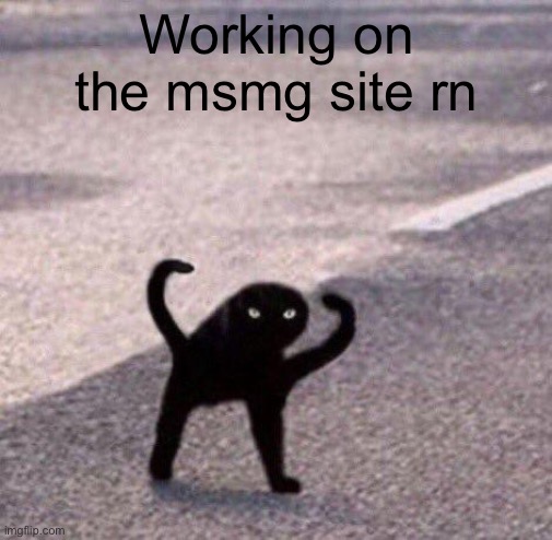 Cursed cat temp | Working on the msmg site rn | image tagged in cursed cat temp | made w/ Imgflip meme maker