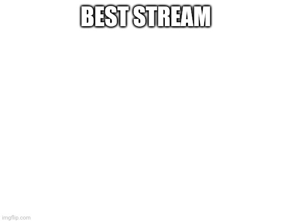 Best stream |  BEST STREAM | image tagged in funny memes | made w/ Imgflip meme maker