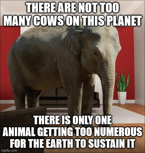 Homo (non) Sapiens! | THERE ARE NOT TOO MANY COWS ON THIS PLANET; THERE IS ONLY ONE ANIMAL GETTING TOO NUMEROUS FOR THE EARTH TO SUSTAIN IT | image tagged in elephant in the room,environmentalism,environment | made w/ Imgflip meme maker