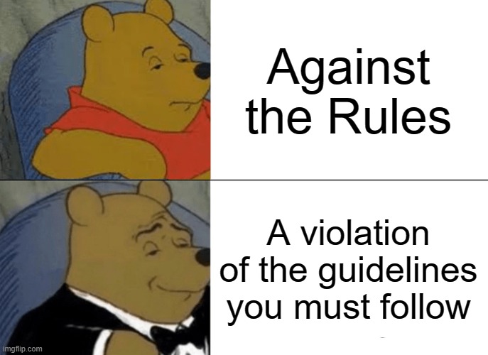 Tuxedo Winnie The Pooh | Against the Rules; A violation of the guidelines you must follow | image tagged in memes,tuxedo winnie the pooh | made w/ Imgflip meme maker