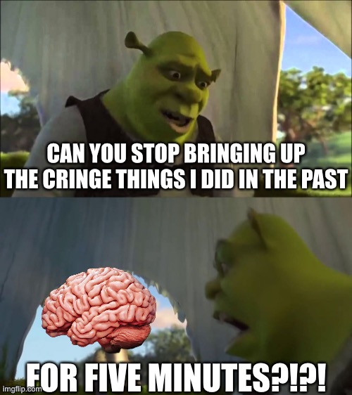 Me Everytime i try to go to sleep: | CAN YOU STOP BRINGING UP THE CRINGE THINGS I DID IN THE PAST; FOR FIVE MINUTES?!?! | image tagged in shrek five minutes,memes,brain,relatable,relatable memes,funny | made w/ Imgflip meme maker