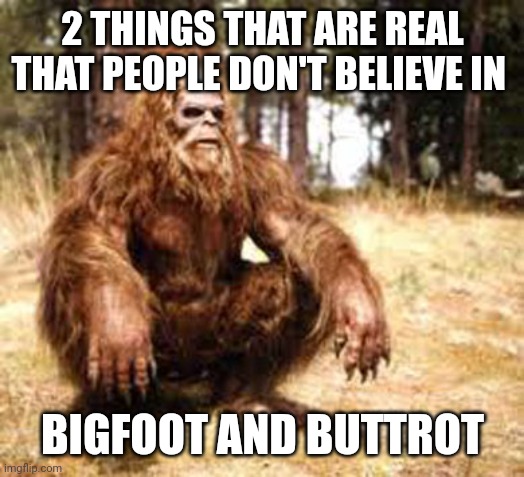 Chillin' Bigfoot | 2 THINGS THAT ARE REAL THAT PEOPLE DON'T BELIEVE IN; BIGFOOT AND BUTTROT | image tagged in chillin' bigfoot | made w/ Imgflip meme maker
