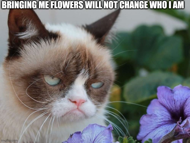 Grumpy Cat Flowers | BRINGING ME FLOWERS WILL NOT CHANGE WHO I AM | image tagged in grumpy cat flowers | made w/ Imgflip meme maker