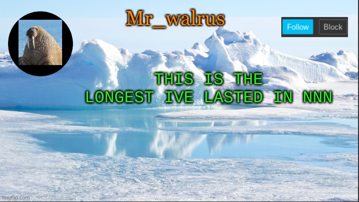 Mr_walrus | THIS IS THE LONGEST IVE LASTED IN NNN | image tagged in mr_walrus | made w/ Imgflip meme maker