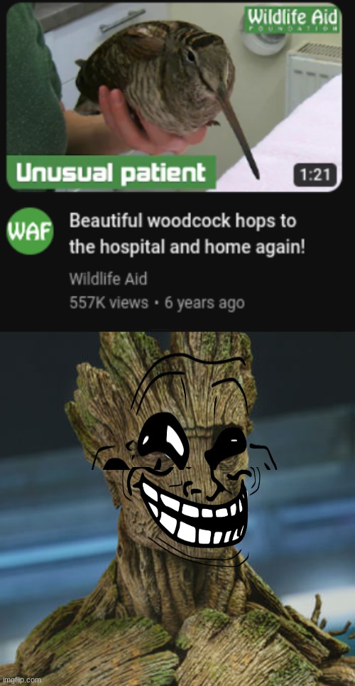 i have never edited this horribly | made w/ Imgflip meme maker