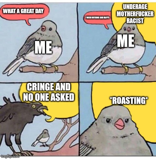 annoyed bird | WHAT A GREAT DAY I WISH NOTHING BAD HAPPE- UNDERAGE MOTHERFUCKER RACIST CRINGE AND NO ONE ASKED ME ME *ROASTING* | image tagged in annoyed bird | made w/ Imgflip meme maker