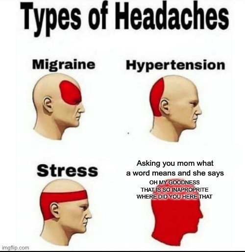 Mommy what does **** mean | Asking you mom what a word means and she says; OH MY GOODNESS THAT IS SO INAPROPRITE WHERE DID YOU HERE THAT | image tagged in types of headaches meme | made w/ Imgflip meme maker