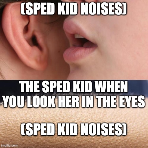 sped kid | (SPED KID NOISES); THE SPED KID WHEN YOU LOOK HER IN THE EYES; (SPED KID NOISES) | image tagged in whisper and goosebumps | made w/ Imgflip meme maker