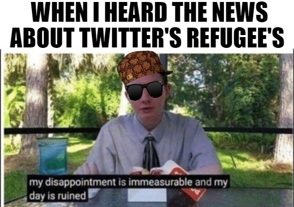 I JUST DON'T KNOW ANYMORE LOL | WHEN I HEARD THE NEWS ABOUT TWITTER'S REFUGEE'S | image tagged in my dissapointment is immeasurable and my day is ruined | made w/ Imgflip meme maker