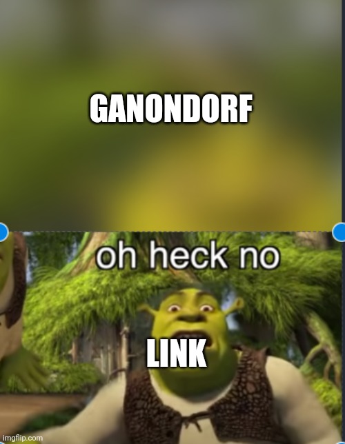 ... | GANONDORF; LINK | image tagged in oh no | made w/ Imgflip meme maker