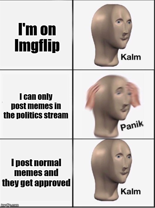 um sir actually | I'm on Imgflip; I can only post memes in the politics stream; I post normal memes and they get approved | image tagged in reverse kalm panik | made w/ Imgflip meme maker