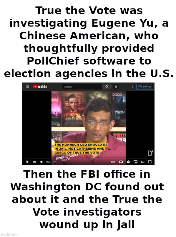 True the Vote Jailed and Dinesh D'Souza Comments | image tagged in true the vote,dinesh d'souza,elections,hacked,maybe,china | made w/ Imgflip meme maker