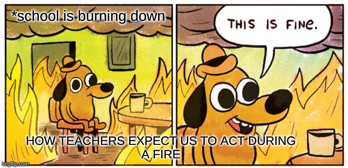 Skool :( | *school is burning down; HOW TEACHERS EXPECT US TO ACT DURING
A FIRE | image tagged in memes,this is fine | made w/ Imgflip meme maker
