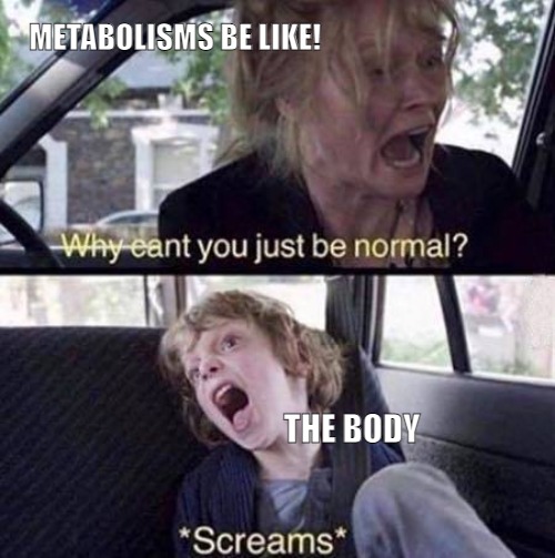 WE ARE ALL NORMAL IN OUR OWN WAY! | METABOLISMS BE LIKE! THE BODY | image tagged in why can't you just be normal,meme | made w/ Imgflip meme maker