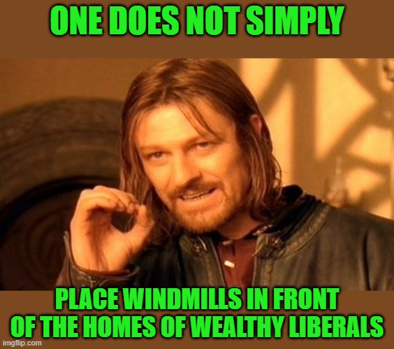 One Does Not Simply Meme | ONE DOES NOT SIMPLY PLACE WINDMILLS IN FRONT OF THE HOMES OF WEALTHY LIBERALS | image tagged in memes,one does not simply | made w/ Imgflip meme maker