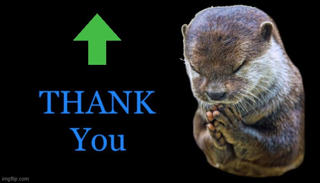 thank you | image tagged in thank you | made w/ Imgflip meme maker