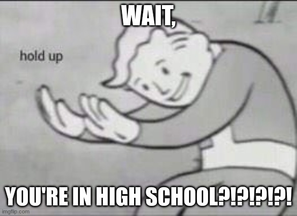 Fallout Hold Up | WAIT, YOU'RE IN HIGH SCHOOL?!?!?!?! | image tagged in fallout hold up | made w/ Imgflip meme maker
