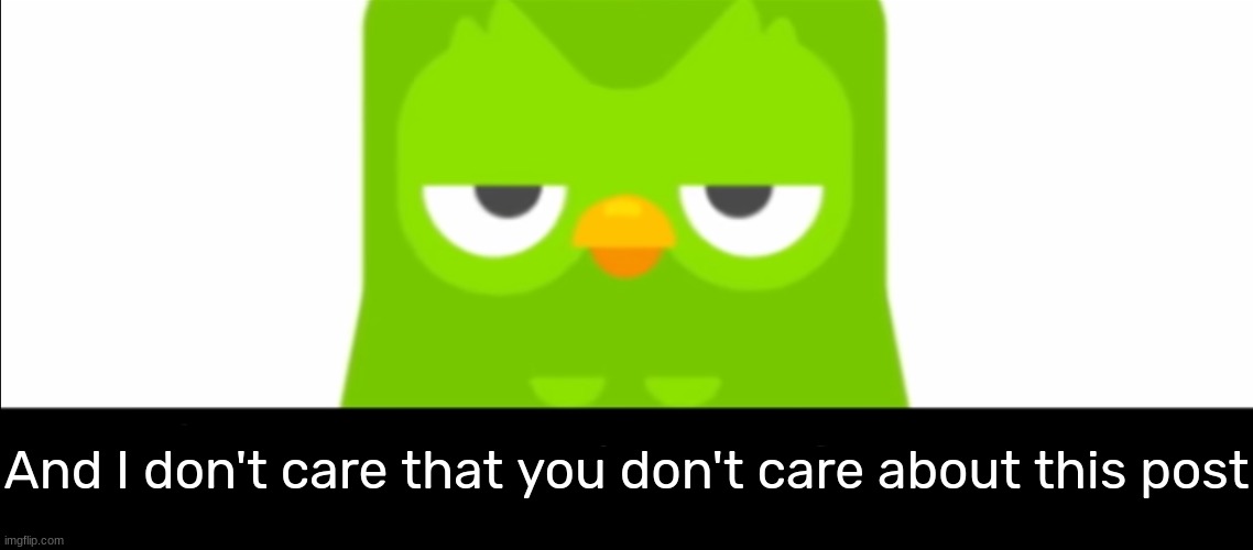 Duolingo was unimpressed | And I don't care that you don't care about this post | image tagged in duolingo was unimpressed | made w/ Imgflip meme maker