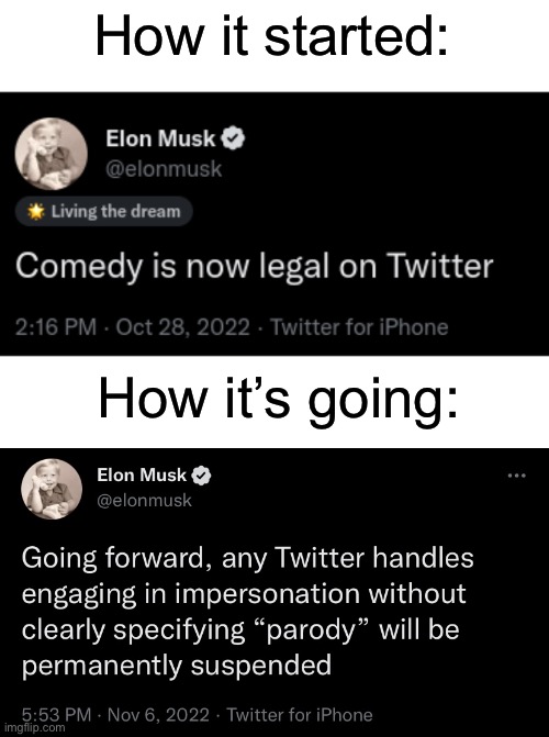 Bad news everyone, comedy is illegal again. :( | How it started:; How it’s going: | image tagged in elon musk,twitter,comedy,racism,free speech | made w/ Imgflip meme maker