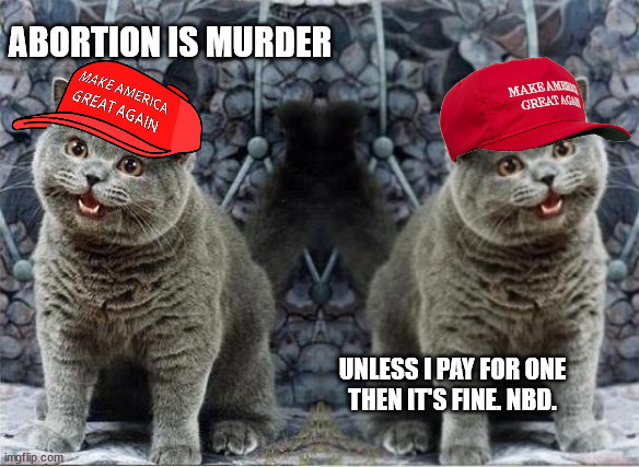 MAGA Cat Sez: | ABORTION IS MURDER; UNLESS I PAY FOR ONE
THEN IT'S FINE. NBD. | image tagged in i can has cheezburger cat,can i haz cheeseburger | made w/ Imgflip meme maker