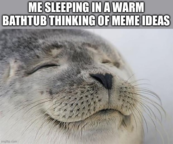 Satisfied Seal | ME SLEEPING IN A WARM BATHTUB THINKING OF MEME IDEAS | image tagged in memes,satisfied seal | made w/ Imgflip meme maker