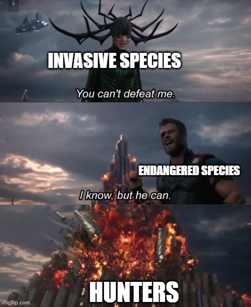You can't defeat me |  INVASIVE SPECIES; ENDANGERED SPECIES; HUNTERS | image tagged in you can't defeat me | made w/ Imgflip meme maker