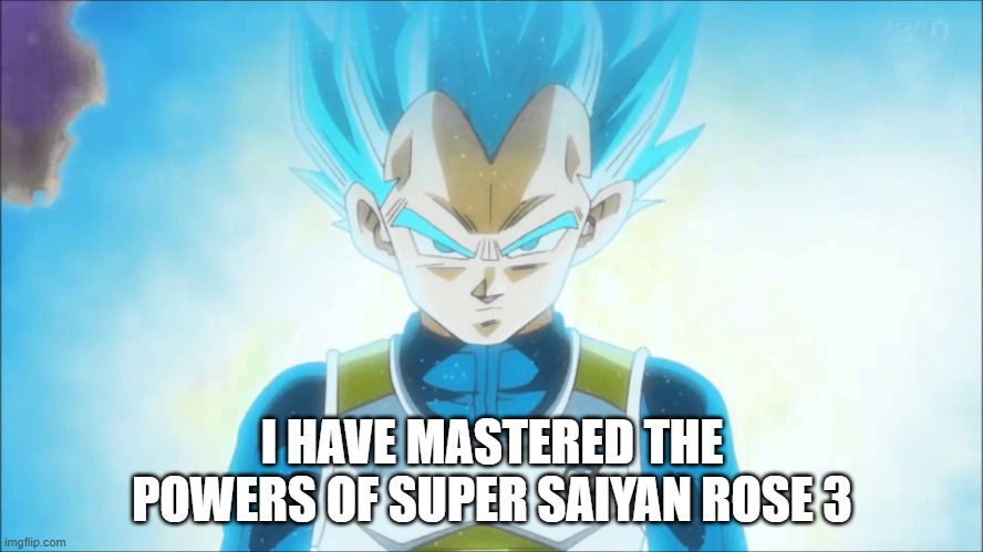 Next is Super Saiyan Rose 4 (hopefully I can master it in time for Thanksgiving) | I HAVE MASTERED THE POWERS OF SUPER SAIYAN ROSE 3 | image tagged in super saiyan blue vegeta | made w/ Imgflip meme maker