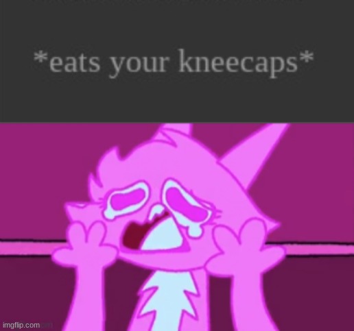 image tagged in sad fuzzy man,idk,stuff,s o u p,carck | made w/ Imgflip meme maker