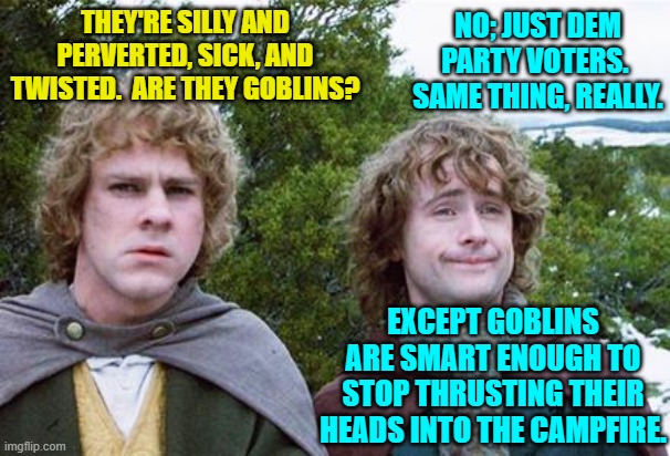 Now we know.  Mystery solved. | NO; JUST DEM PARTY VOTERS.  SAME THING, REALLY. THEY'RE SILLY AND PERVERTED, SICK, AND TWISTED.  ARE THEY GOBLINS? EXCEPT GOBLINS ARE SMART ENOUGH TO STOP THRUSTING THEIR HEADS INTO THE CAMPFIRE. | image tagged in truth | made w/ Imgflip meme maker