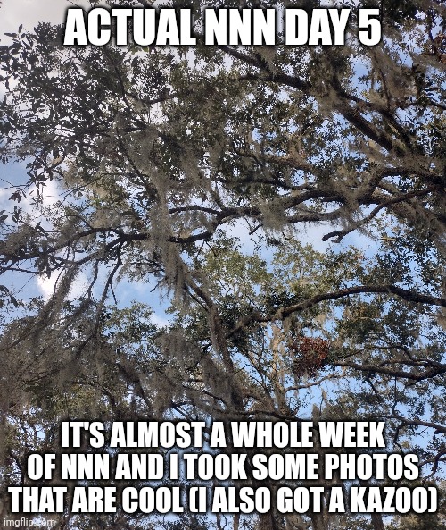 Actual nnn day 5 | ACTUAL NNN DAY 5; IT'S ALMOST A WHOLE WEEK OF NNN AND I TOOK SOME PHOTOS THAT ARE COOL (I ALSO GOT A KAZOO) | image tagged in nnn | made w/ Imgflip meme maker
