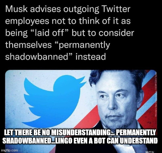 They'll understand permanently shadowbanned... | LET THERE BE NO MISUNDERSTANDING... PERMANENTLY SHADOWBANNED...LINGO EVEN A BOT CAN UNDERSTAND | image tagged in twitter,snowflakes | made w/ Imgflip meme maker