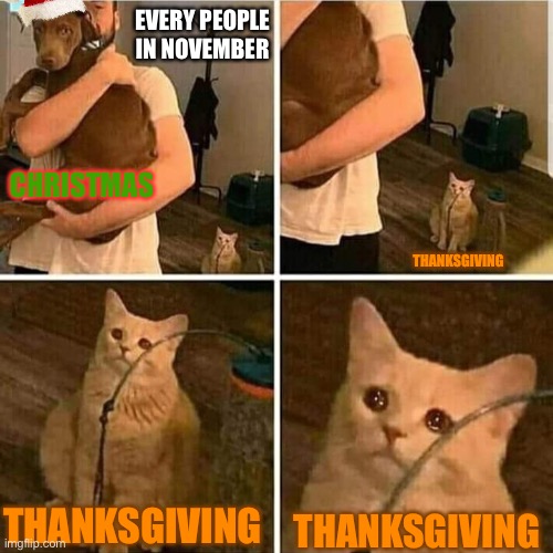 DID SOMEONE ALREADY HAVE THIS MEME? | EVERY PEOPLE IN NOVEMBER; CHRISTMAS; THANKSGIVING; THANKSGIVING; THANKSGIVING | image tagged in sad cat holding dog,christmas,thanksgiving,holidays | made w/ Imgflip meme maker