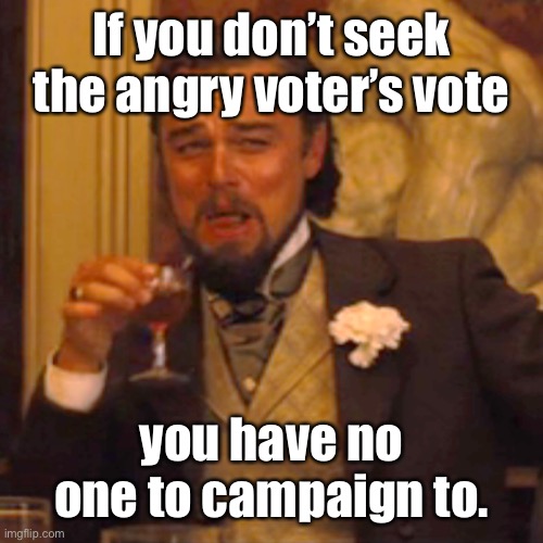 Laughing Leo Meme | If you don’t seek the angry voter’s vote you have no one to campaign to. | image tagged in memes,laughing leo | made w/ Imgflip meme maker